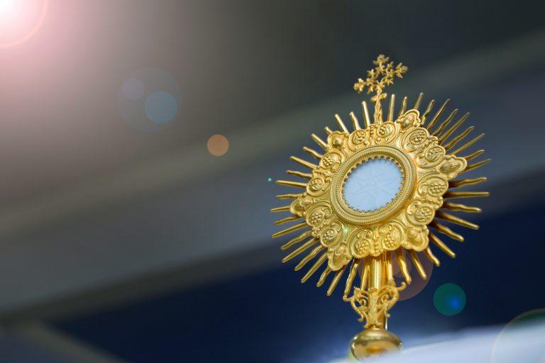 Learn about the Sacred Heart's Adoration for Kids Club that promotes Adoration of the Blessed Sacrament with Lectio Divina.